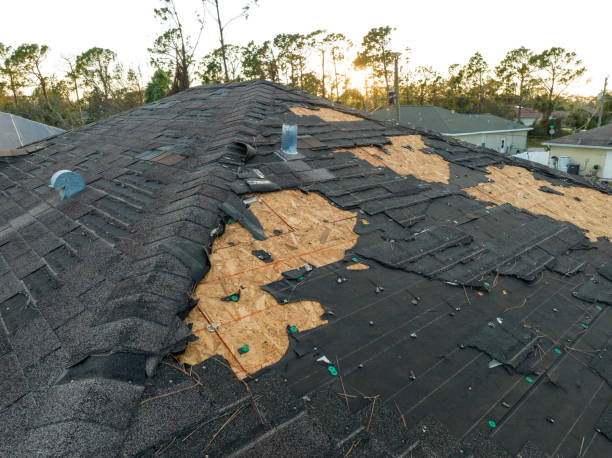 Best Skylight Installation and Repair  in Brookfield Center, OH